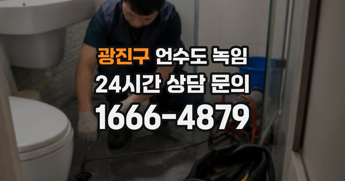 광진구 언수도 녹임