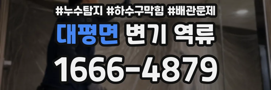 대평면 변기 역류