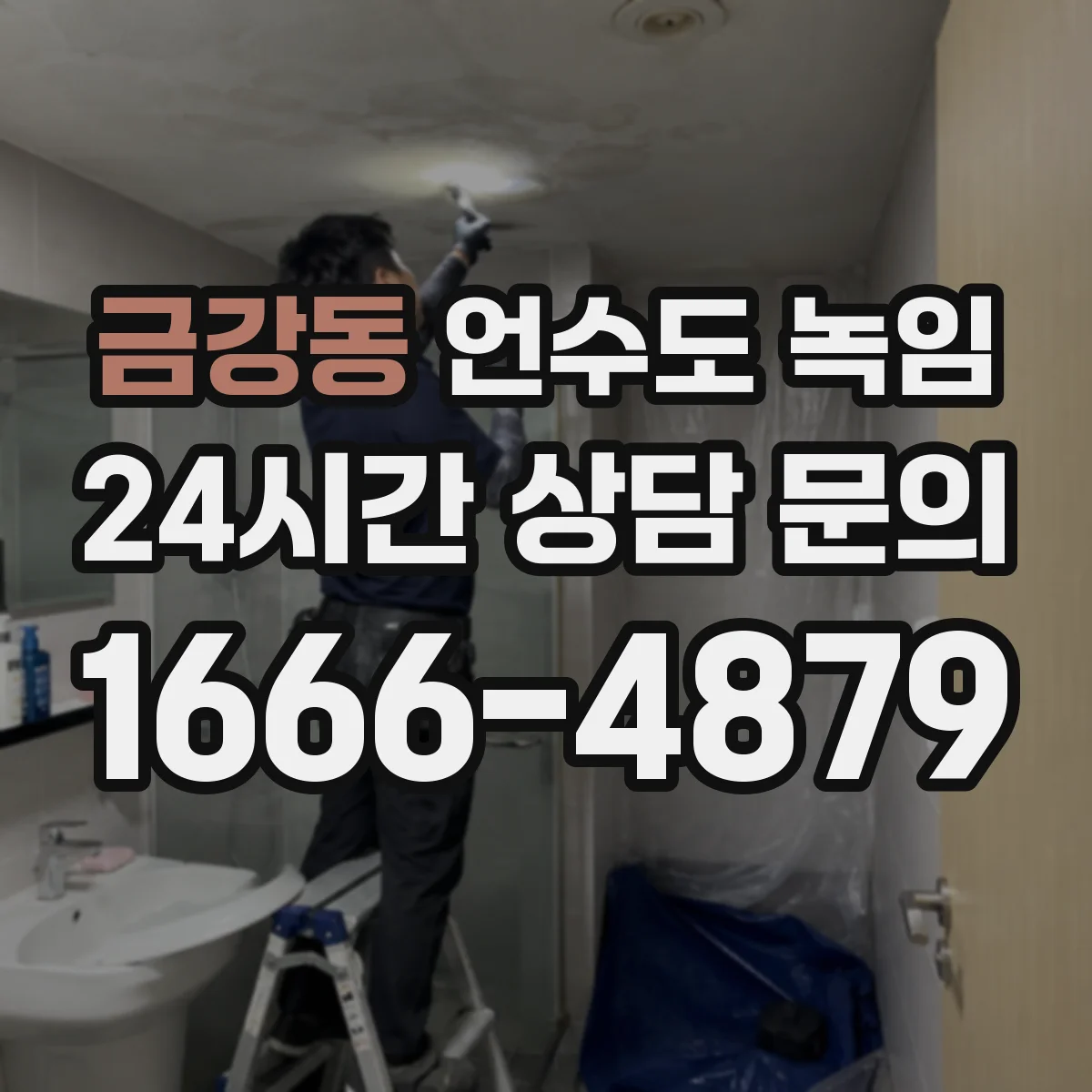 금강동 언수도 녹임
