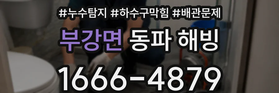 부강면 동파 해빙