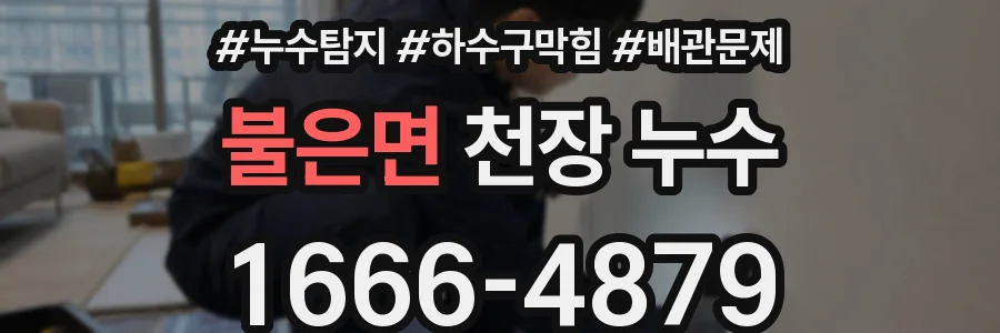 불은면 천장 누수
