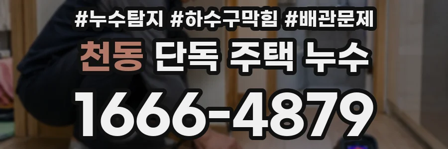 천동 단독 주택 누수