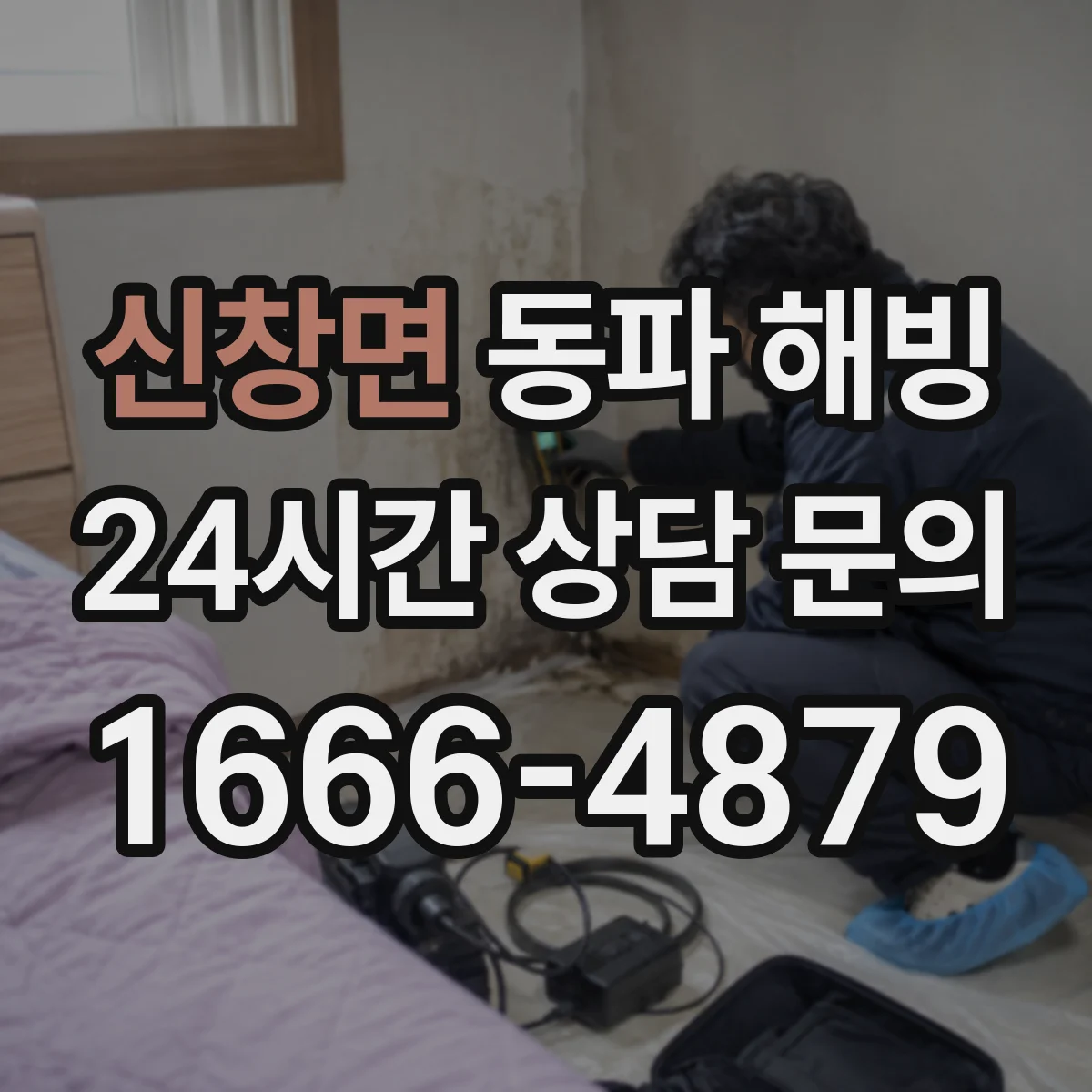 신창면 동파 해빙