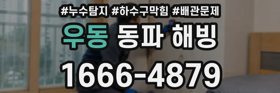 우동 동파 해빙