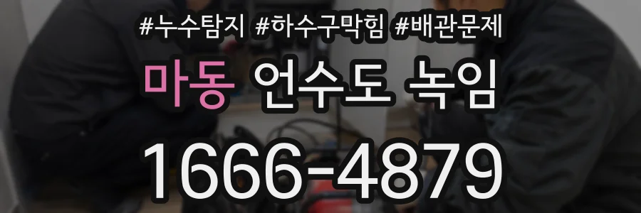 마동 언수도 녹임