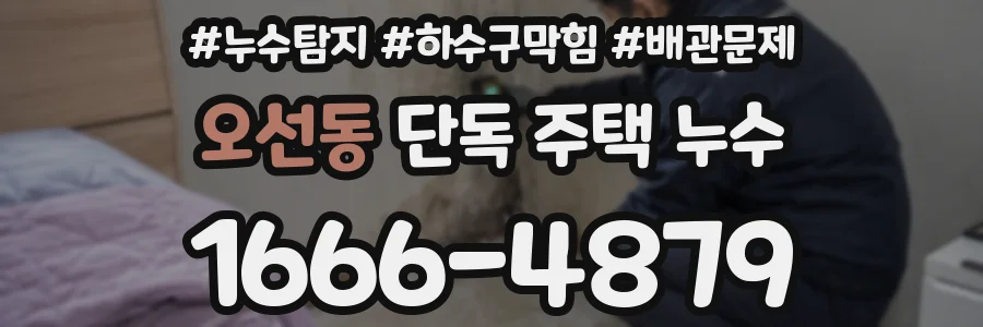 오선동 단독 주택 누수