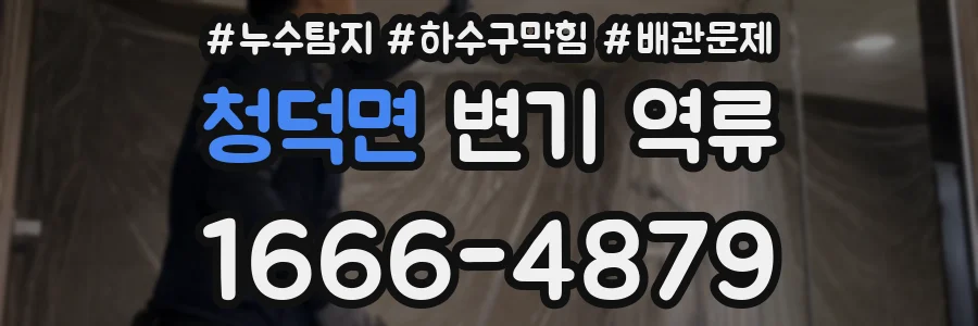 청덕면 변기 역류