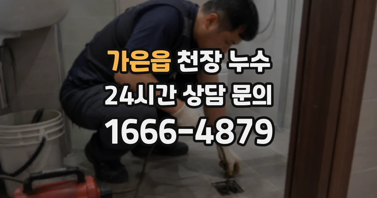 가은읍 천장 누수