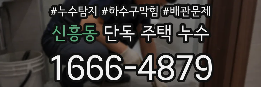 신흥동 단독 주택 누수