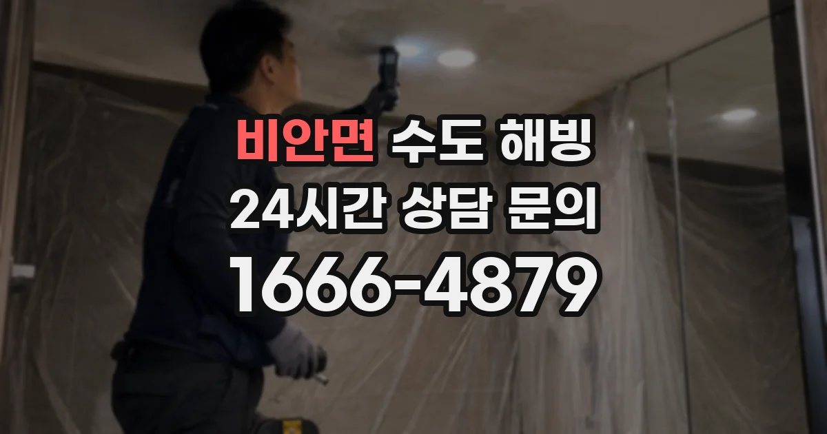비안면 수도 해빙