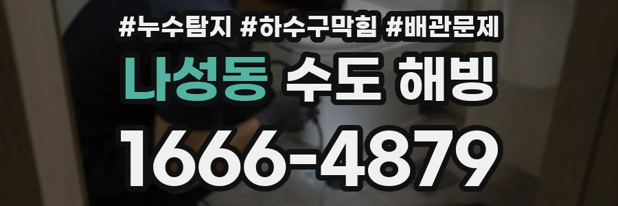 나성동 수도 해빙