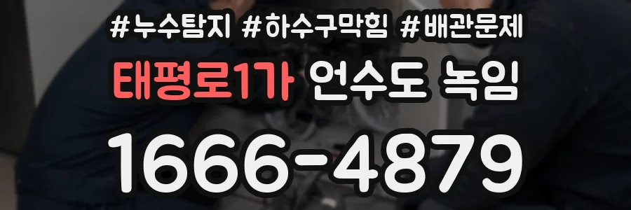 태평로1가 언수도 녹임