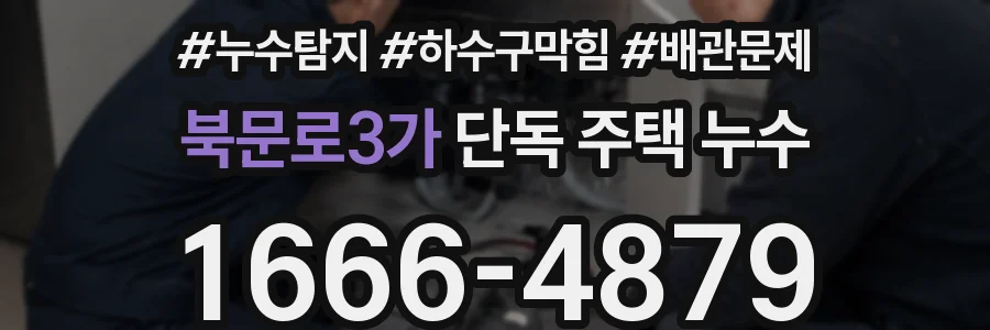 북문로3가 단독 주택 누수