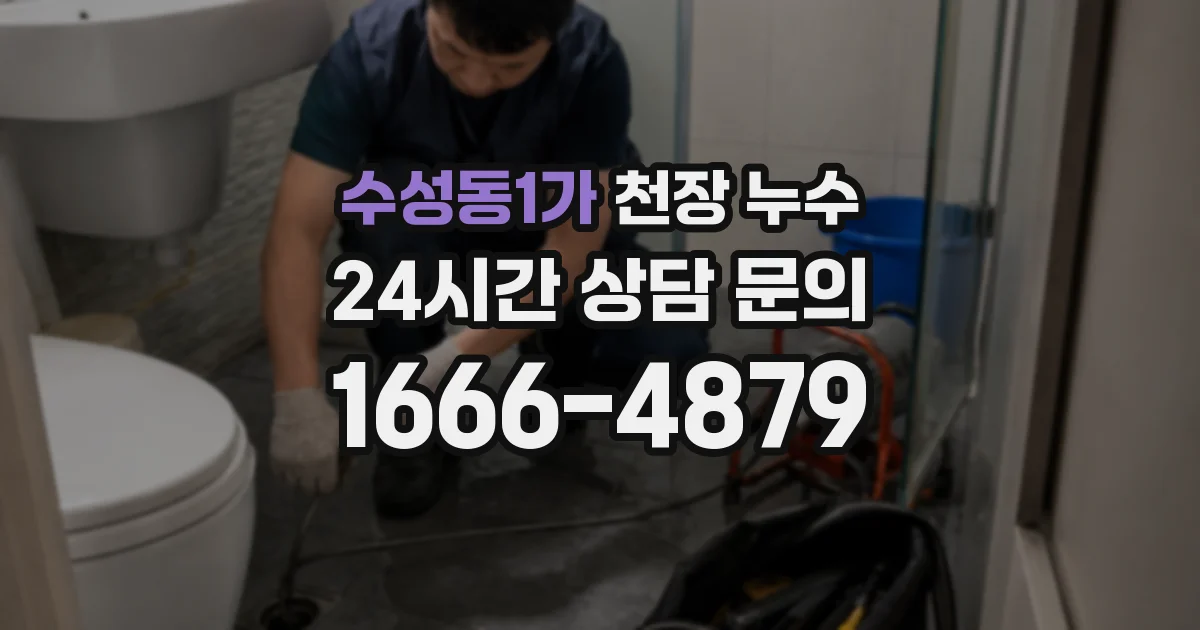 수성동1가 천장 누수
