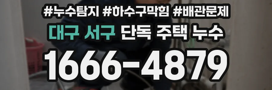 대구 서구 단독 주택 누수