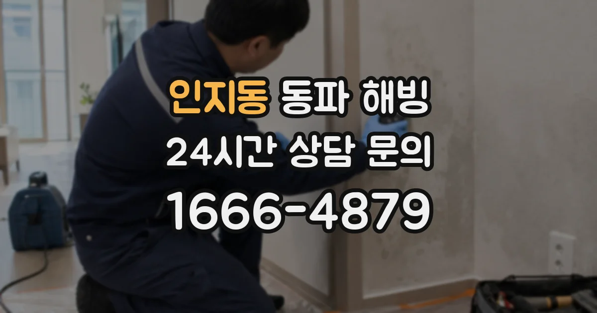 인지동 동파 해빙