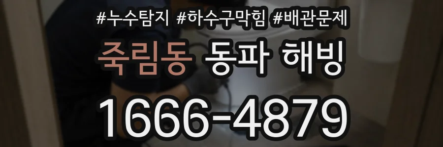 죽림동 동파 해빙