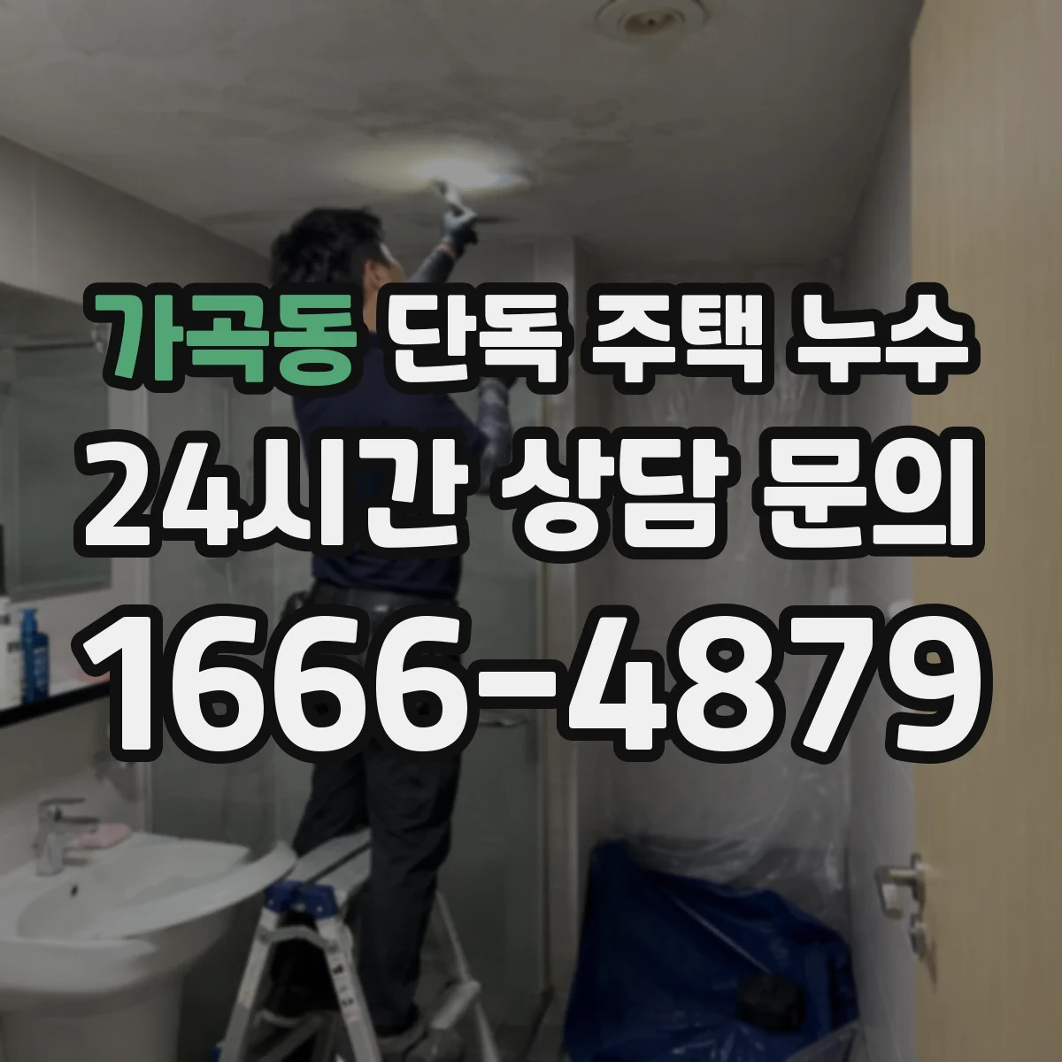 가곡동 단독 주택 누수