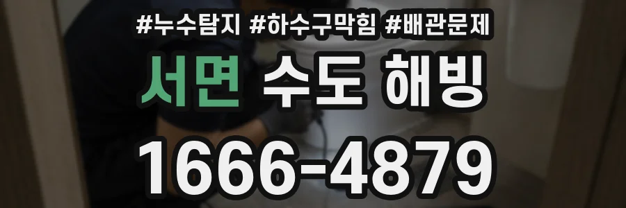 서면 수도 해빙
