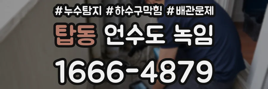탑동 언수도 녹임