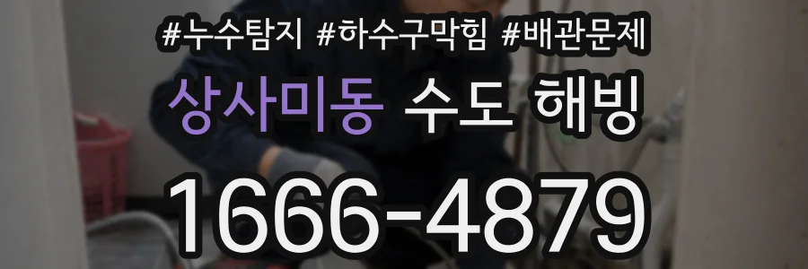 상사미동 수도 해빙