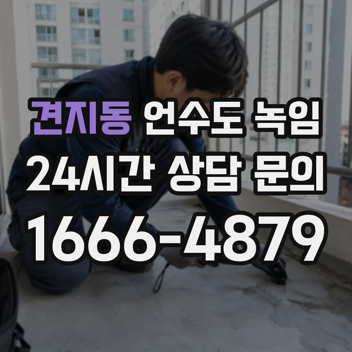 견지동 언수도 녹임