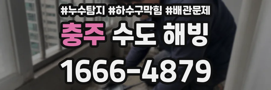 충주 수도 해빙
