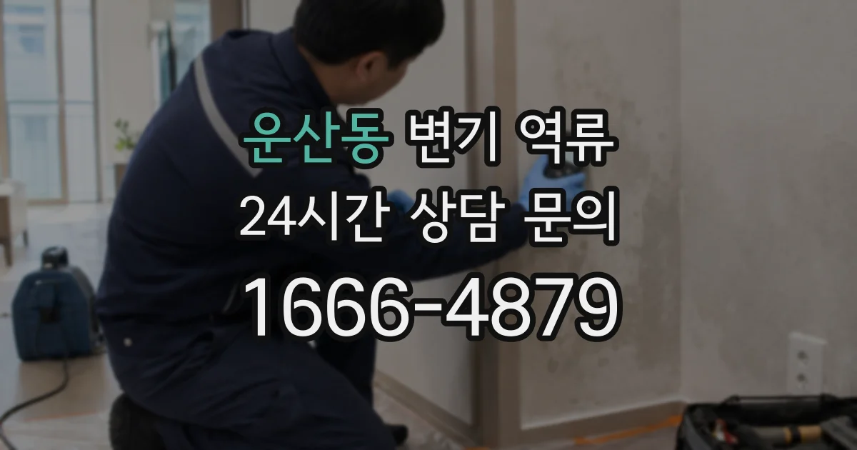 운산동 변기 역류