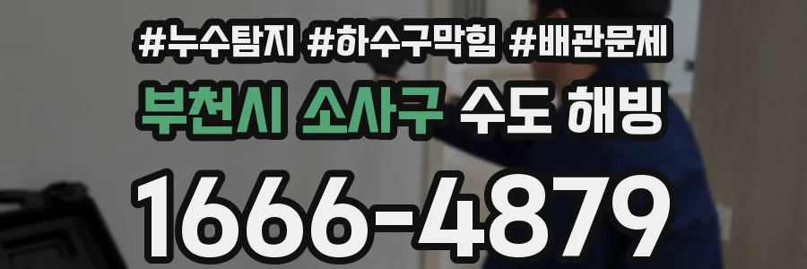 부천시 소사구 수도 해빙