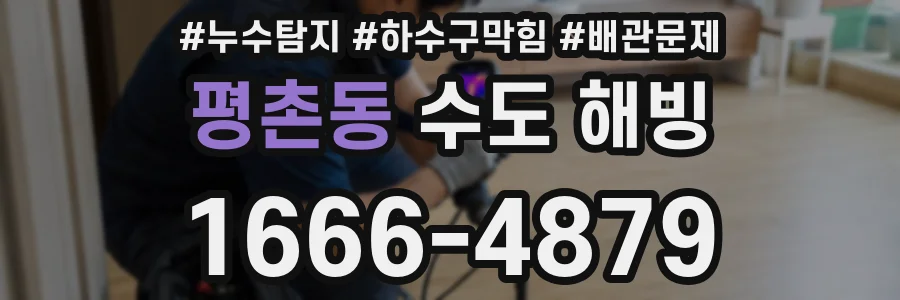 평촌동 수도 해빙
