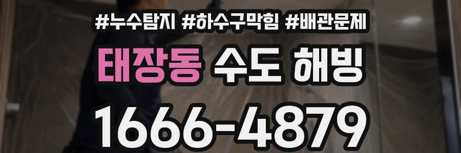 태장동 수도 해빙