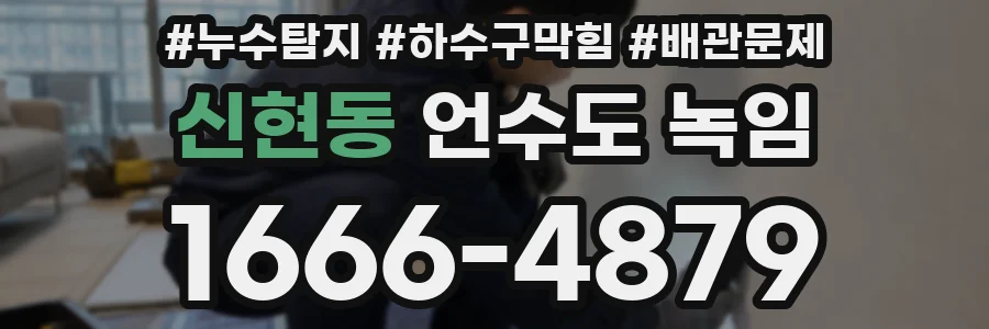 신현동 언수도 녹임