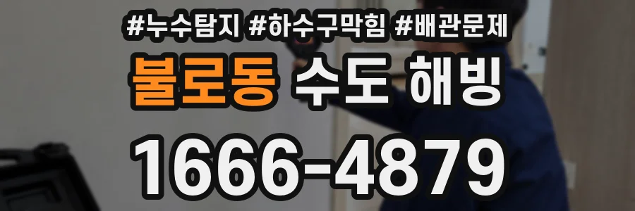 불로동 수도 해빙