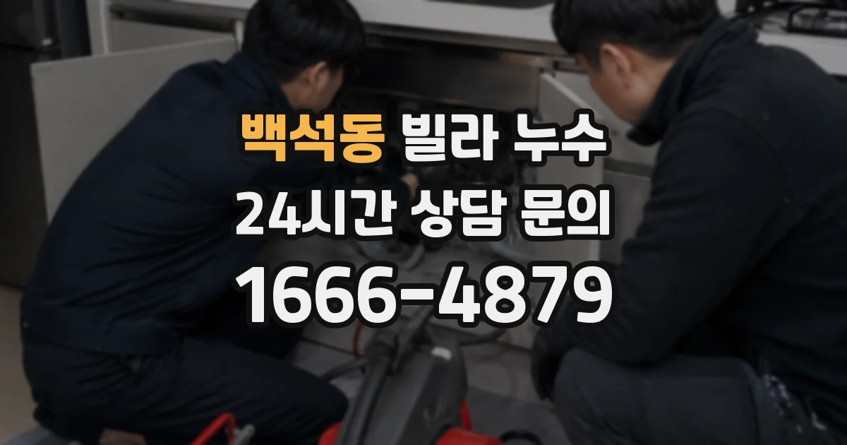 백석동 빌라 누수