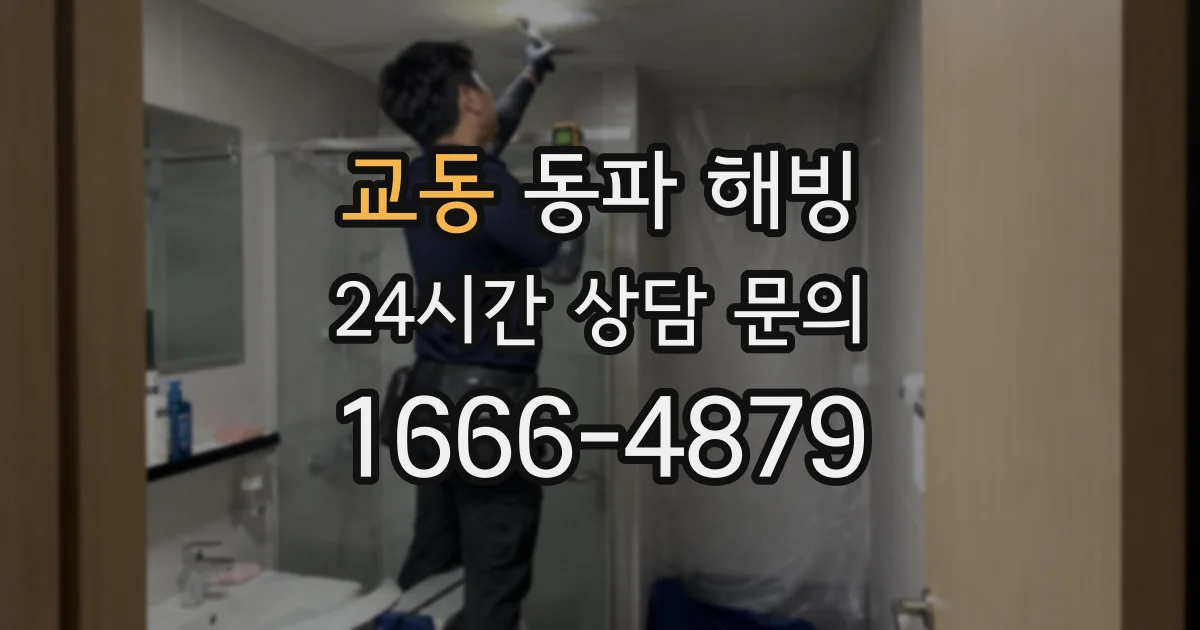교동 동파 해빙