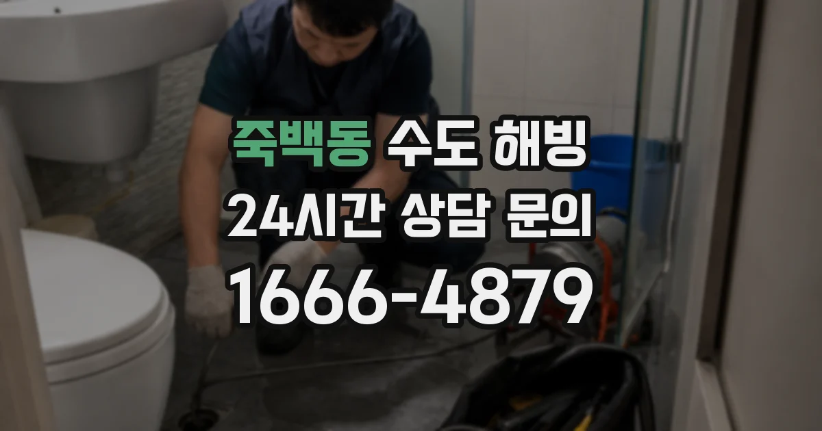 죽백동 수도 해빙