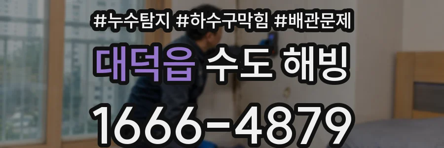 대덕읍 수도 해빙