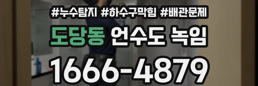 도당동 언수도 녹임
