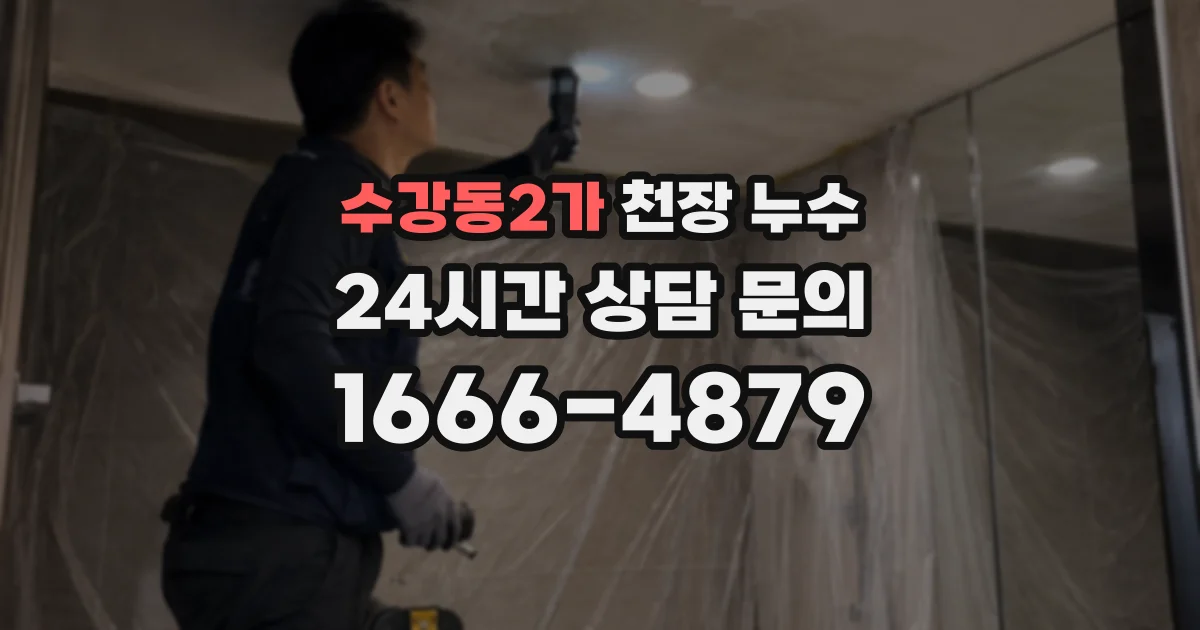 수강동2가 천장 누수