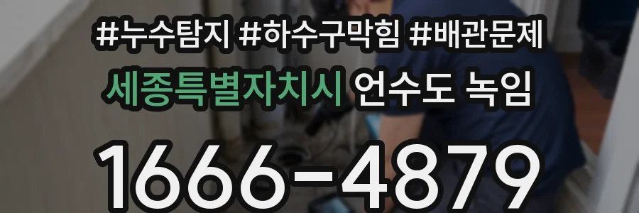 세종특별자치시 언수도 녹임