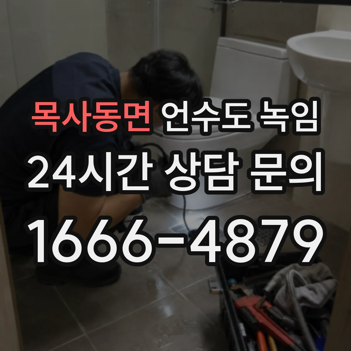 목사동면 언수도 녹임