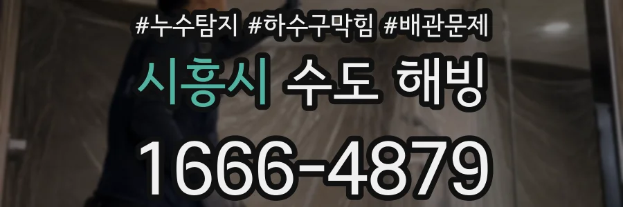 시흥시 수도 해빙