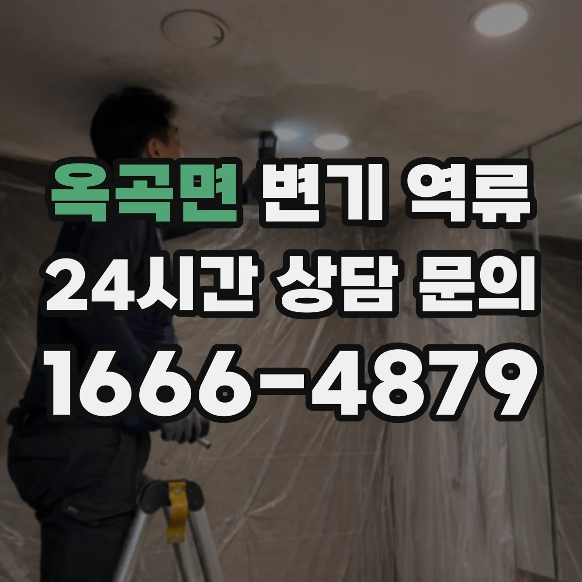 옥곡면 변기 역류