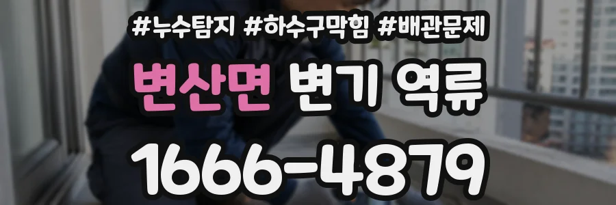 변산면 변기 역류
