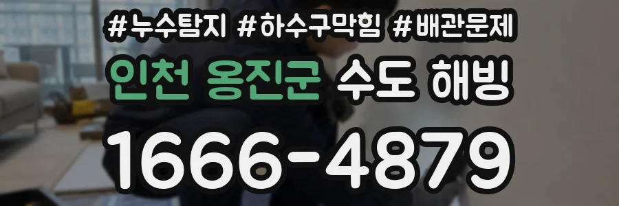 인천 옹진군 수도 해빙