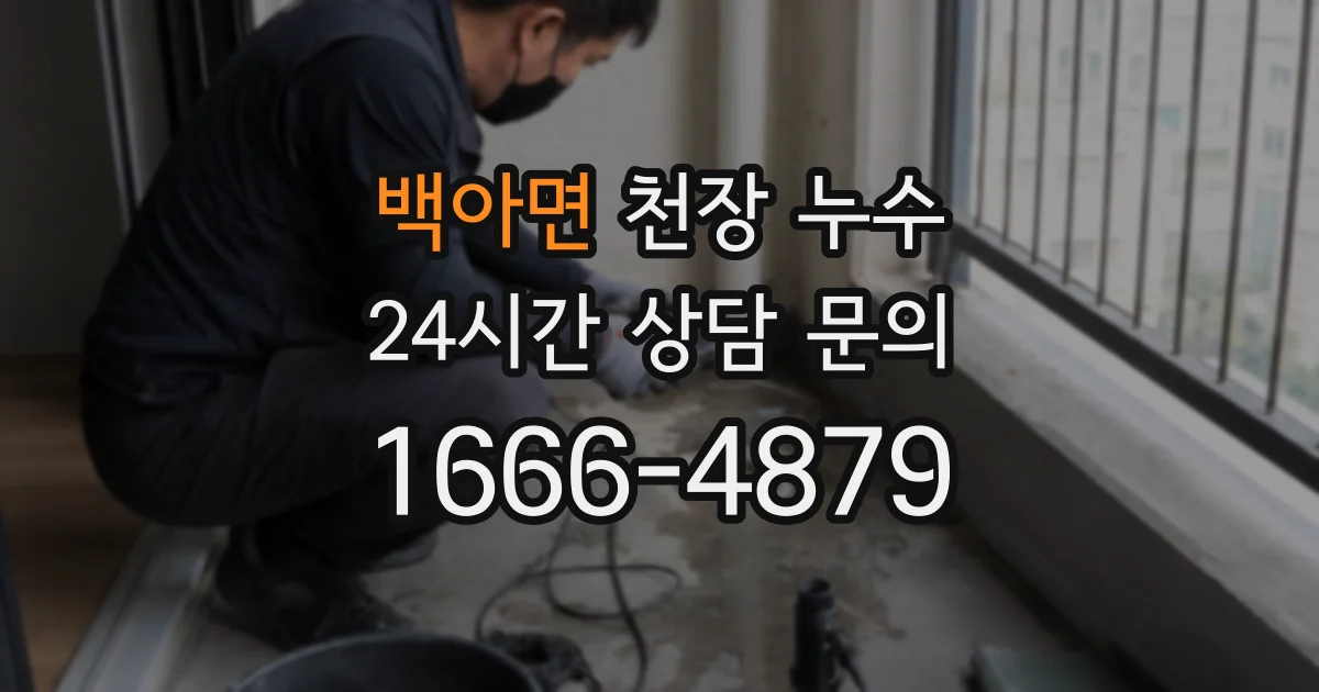 백아면 천장 누수