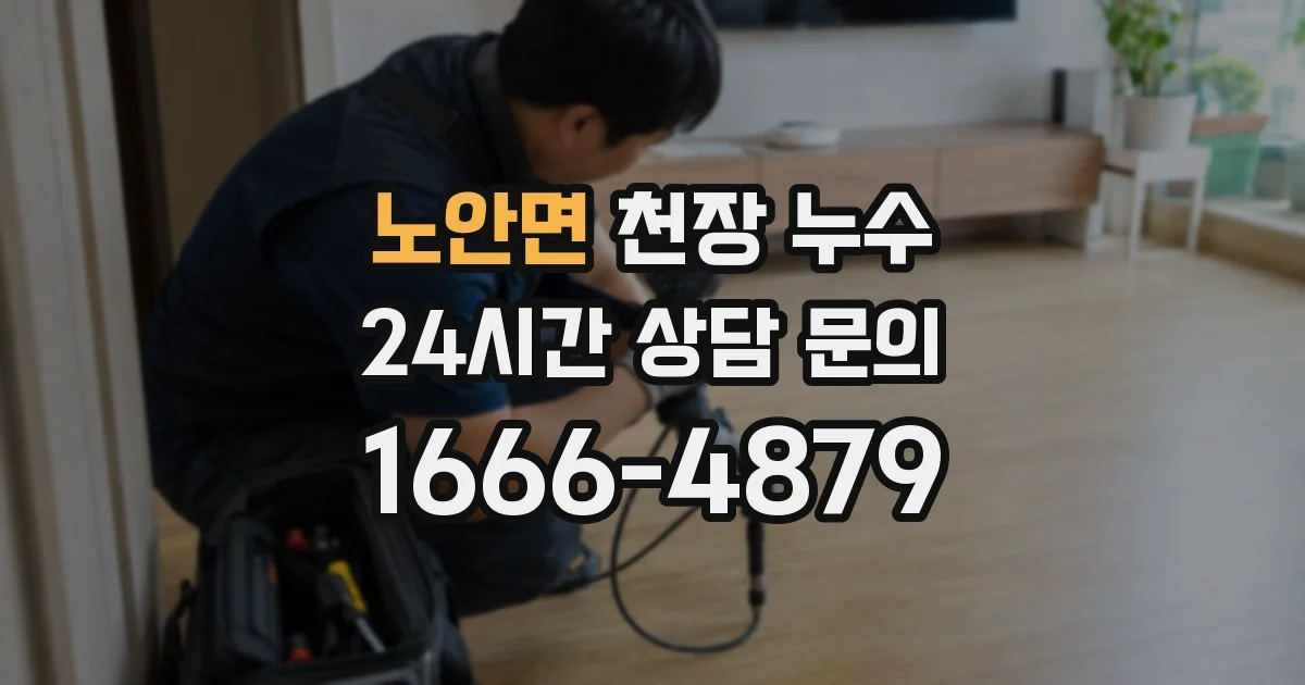 노안면 천장 누수