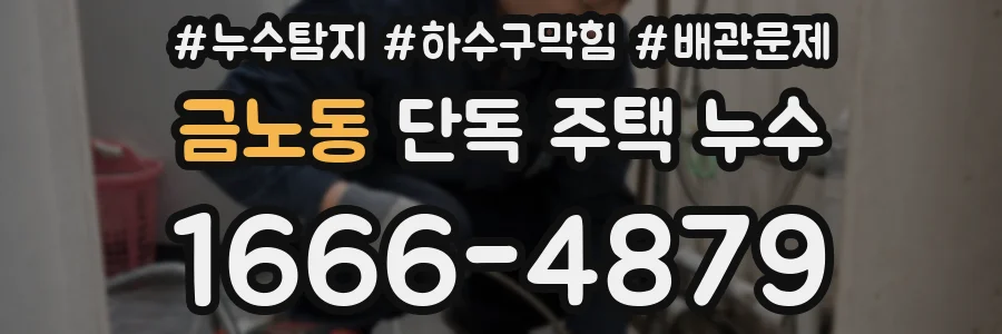 금노동 단독 주택 누수