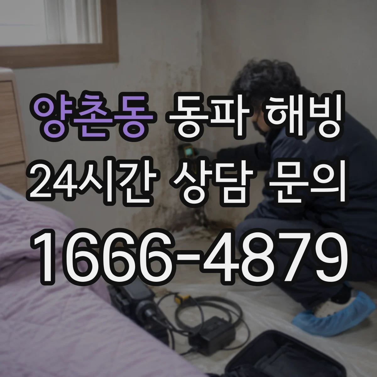 양촌동 동파 해빙