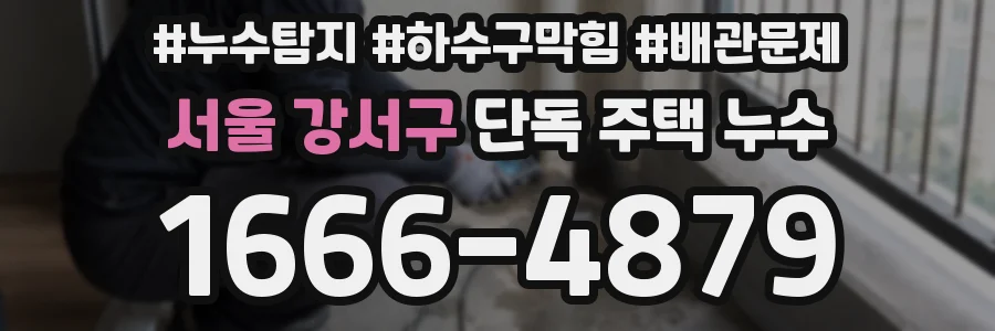 서울 강서구 단독 주택 누수